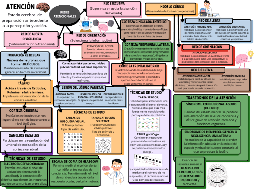 Miniatura del documento ACTIVIDAD-1-Psicofisiologia.pdf