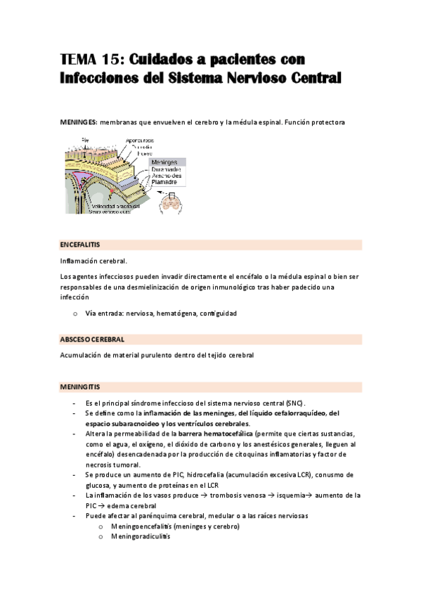 Miniatura del documento TEMA-15.pdf