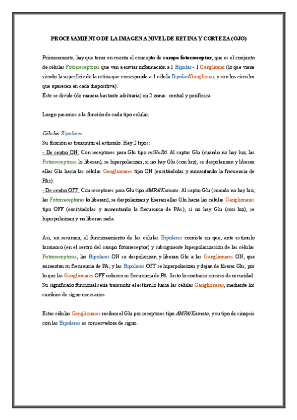 Miniatura del documento Fisiología Ojo: Procesamiento de imagen en retina y corteza.pdf