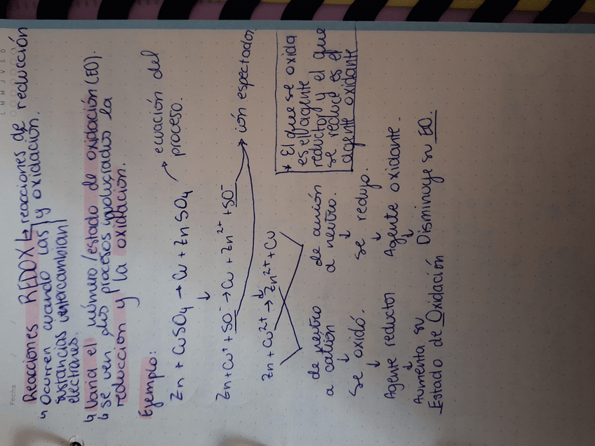 Miniatura del documento 20240529181717.jpg