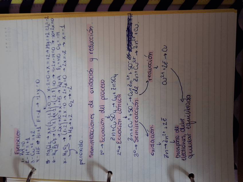 Miniatura del documento 20240529181732.jpg