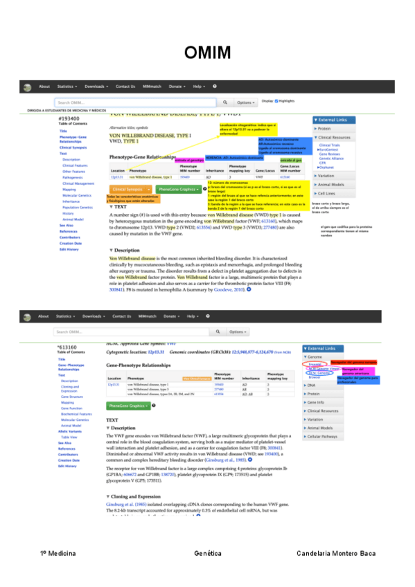 Miniatura del documento Prácticas Omim, Ensembl, ClinVar.pdf
