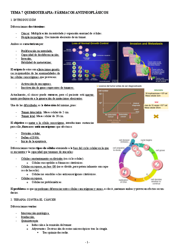 Miniatura del documento FARMACOLOGIA-TEMA-7-QUIMIOTERAPIA-FARMACOS-ANTINEOPLASICOS.pdf