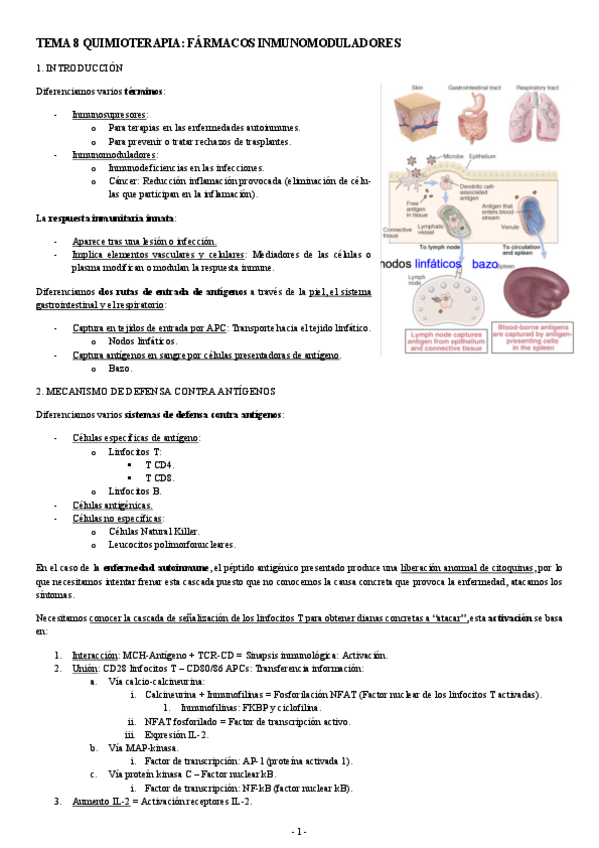 Miniatura del documento FARMACOLOGIA-TEMA-8-QUIMIOTERAPIA-FARMACOS-INMUNOMODULADORES.pdf