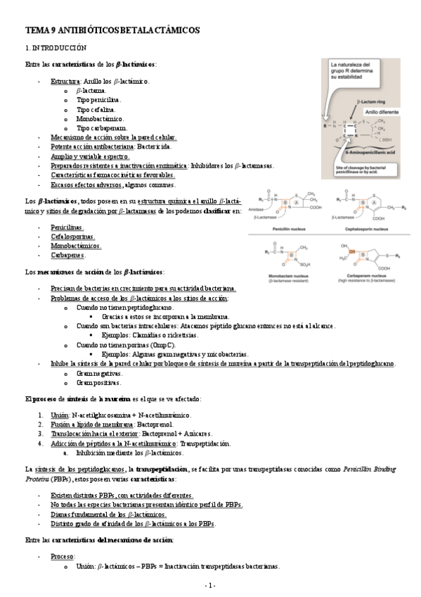 Miniatura del documento FARMACOLOGIA-TEMA-9-ANTIBIOTICOS-BETALACTAMICOS.pdf