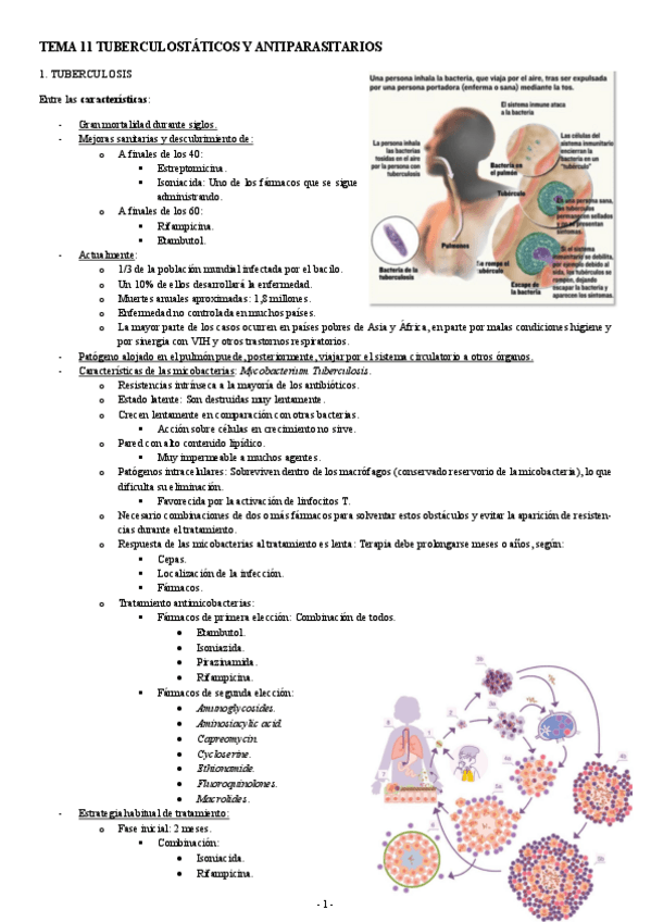 Miniatura del documento FARMACOLOGIA-TEMA-11-TUBERCULOSTATICOS-Y-ANTIPARASITARIOS.pdf
