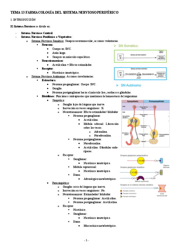 Miniatura del documento FARMACOLOGIA-TEMA-13-FARMACOLOGIA-DEL-SISTEMA-NERVIOSO-PERIFERICO.pdf