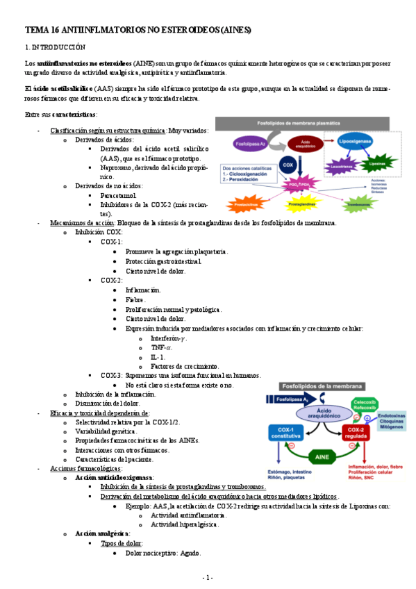 Miniatura del documento FARMACOLOGIA-TEMA-16-ANTIINFLMATORIOS-NO-ESTEROIDEOS-AINES.pdf