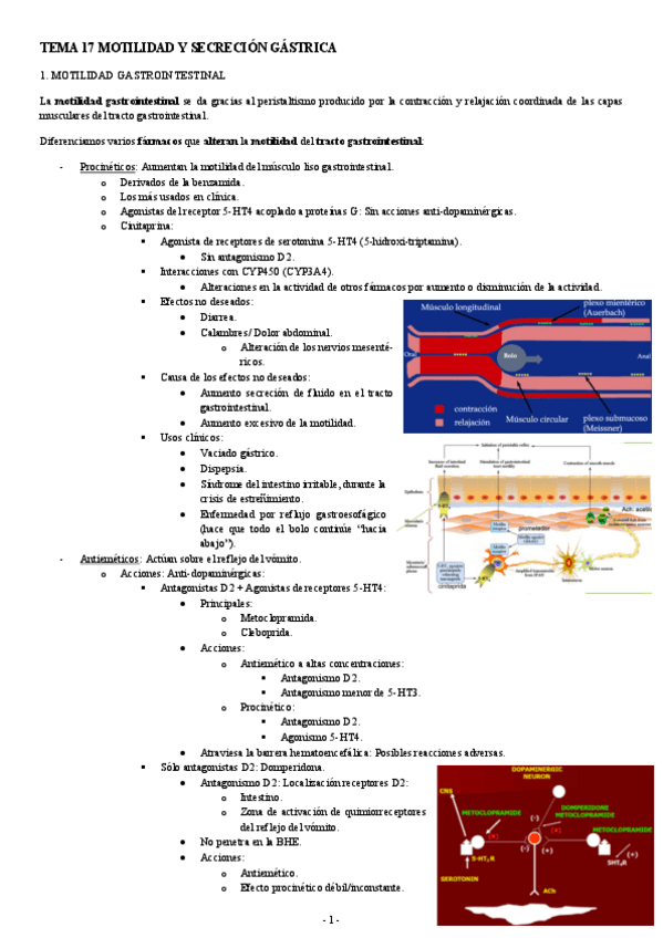 Miniatura del documento FARMACOLOGIA-TEMA-17-MOTILIDAD-Y-SECRECION-GASTRICA.pdf