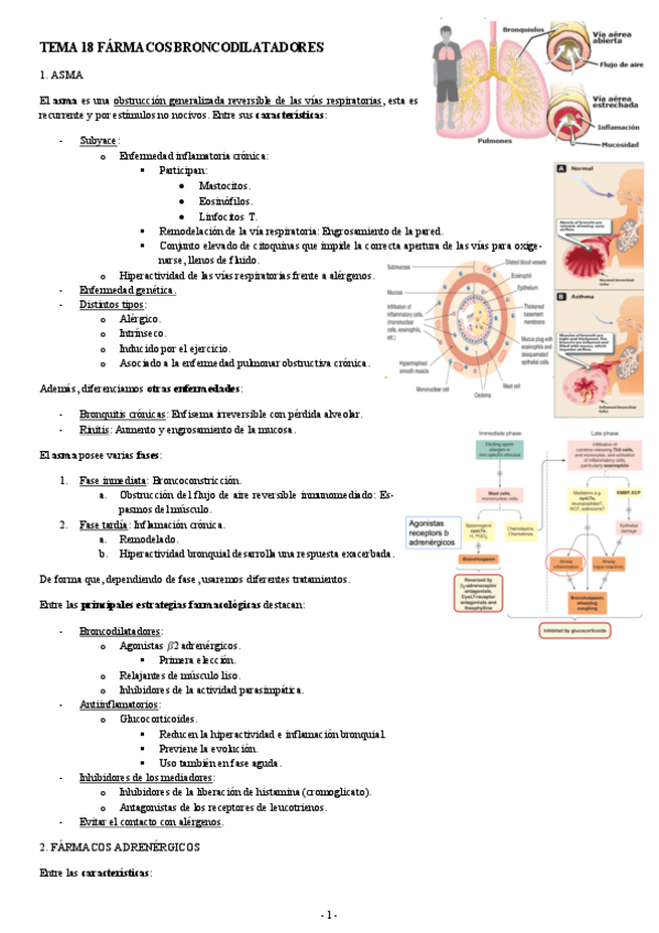 Miniatura del documento FARMACOLOGIA-TEMA-18-FARMACOS-BRONCODILATADORES.pdf