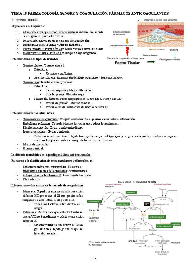 Miniatura del documento FARMACOLOGIA-TEMA-19-FARMACOLOGIA-SANGRE-Y-COAGULACION.-FARMACOS-ANTICOAGULANTES.pdf