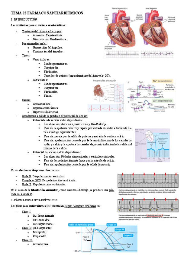 Miniatura del documento FARMACOLOGIA-TEMA-22-FARMACOS-ANTIARRITMICOS.pdf