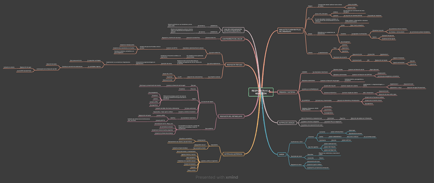 Miniatura del documento Mapa-conceptual-2.pdf