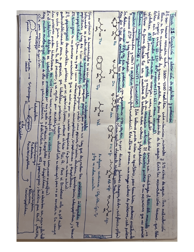 Miniatura del documento Resumenes-temas-de-bloque-4-met.prot-2023-2024.pdf