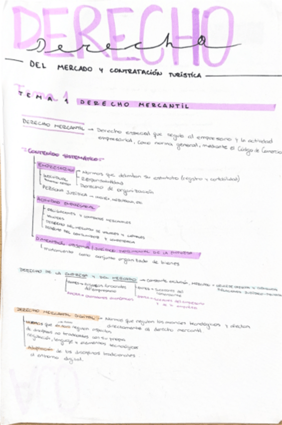 Miniatura del documento DerechoMercantil-Temas-1-a-5.pdf