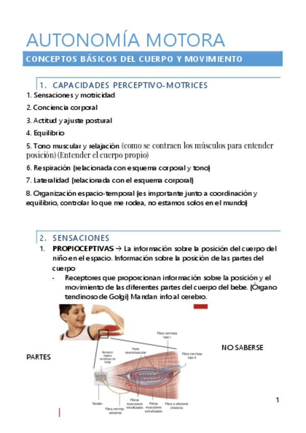 Miniatura del documento Autonomia-Motora.-Teoria.pdf
