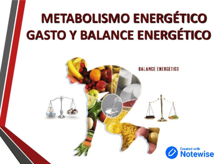 Miniatura del documento Tema-2.-Metabolismo-energetico-gasto-y-balance-energetico-1.pdf