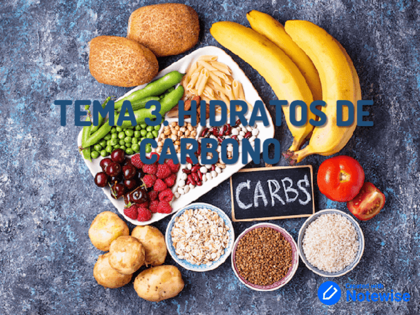 Miniatura del documento Tema-3.-Hidratos-de-carbono.pdf