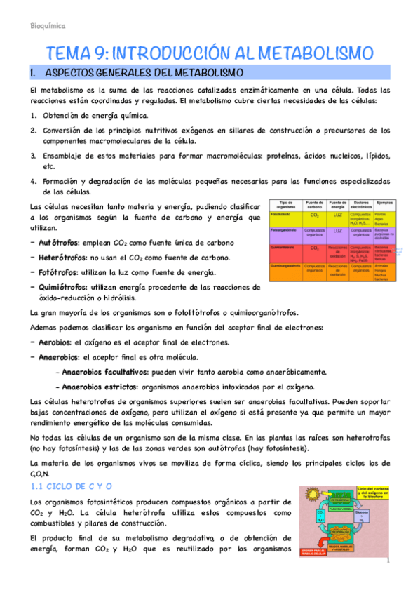 Miniatura del documento Tema-9-introduccion-al-metabolismo.pdf