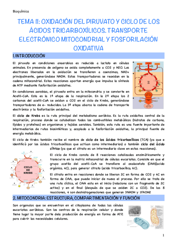 Miniatura del documento Tema-11.pdf