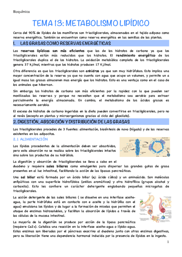 Miniatura del documento Tema-13.pdf