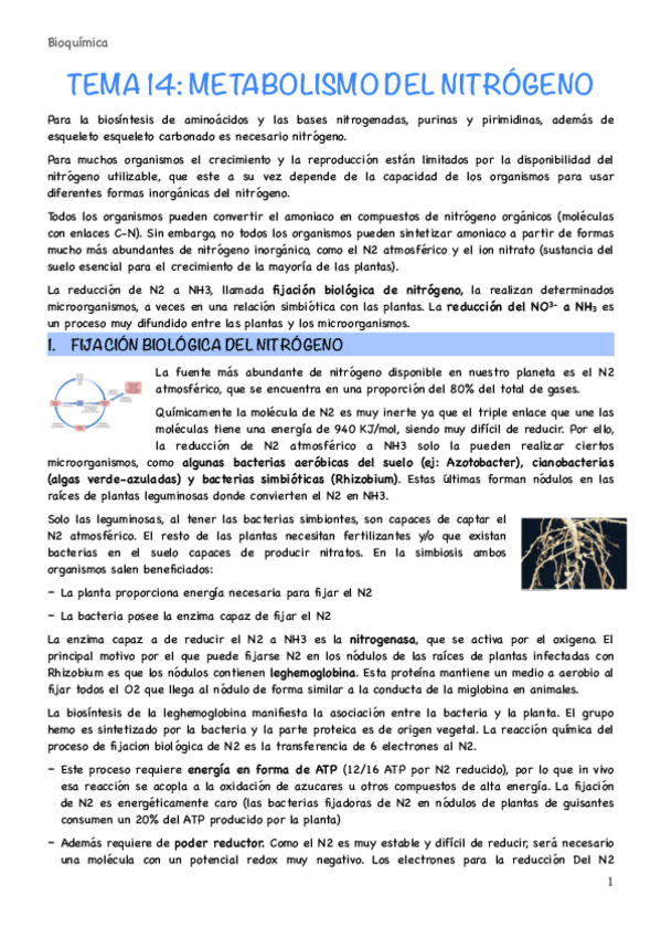 Miniatura del documento Tema-14.pdf