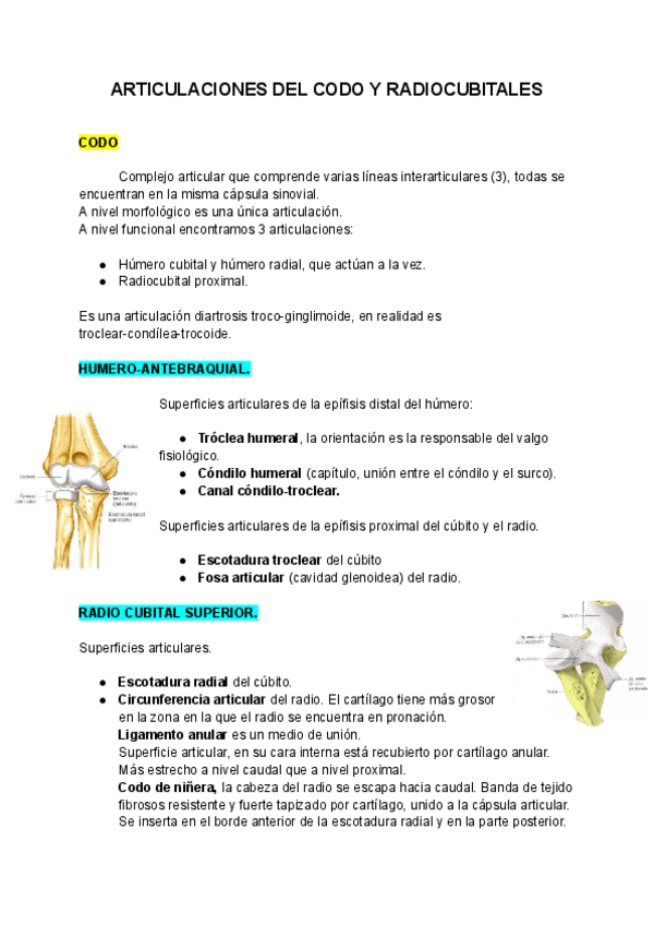 Miniatura del documento ARTICULACIONES-DEL-CODO-Y-RADIOCUBITALES.pdf