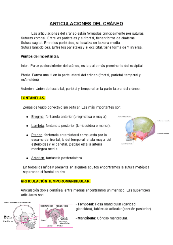 Miniatura del documento ARTICULACIONES-DEL-CRANEO.pdf