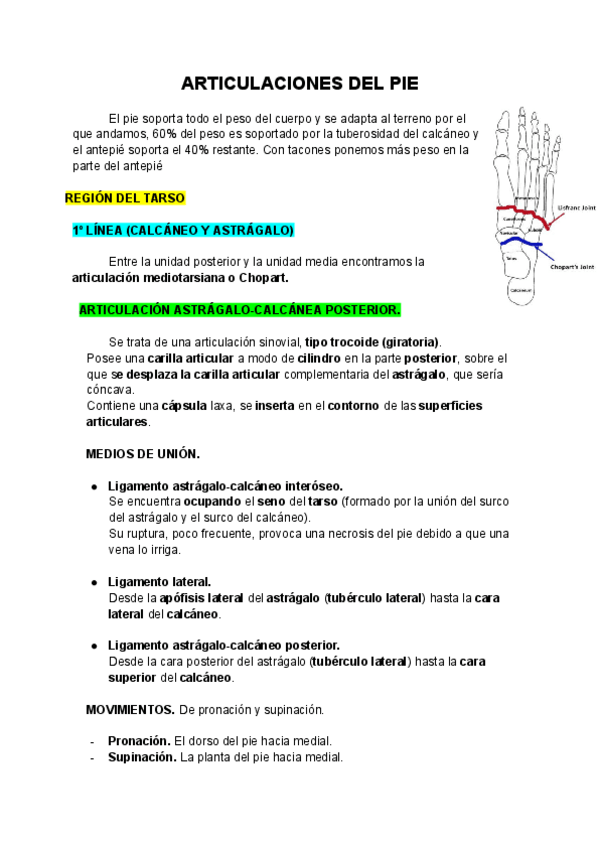 Miniatura del documento ARTICULACIONES-DEL-PIE.pdf
