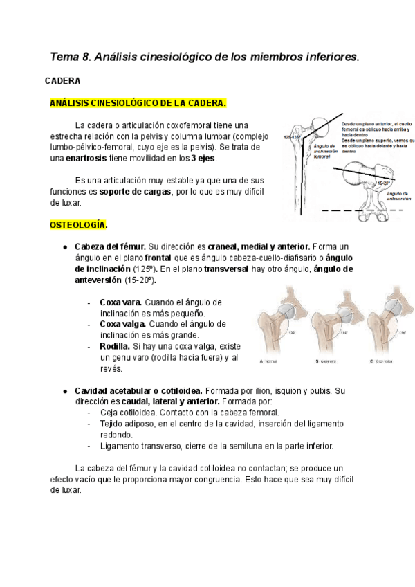 Miniatura del documento Tema-8.-Analisis-cinesiologico-de-los-miembros-inferiores..pdf