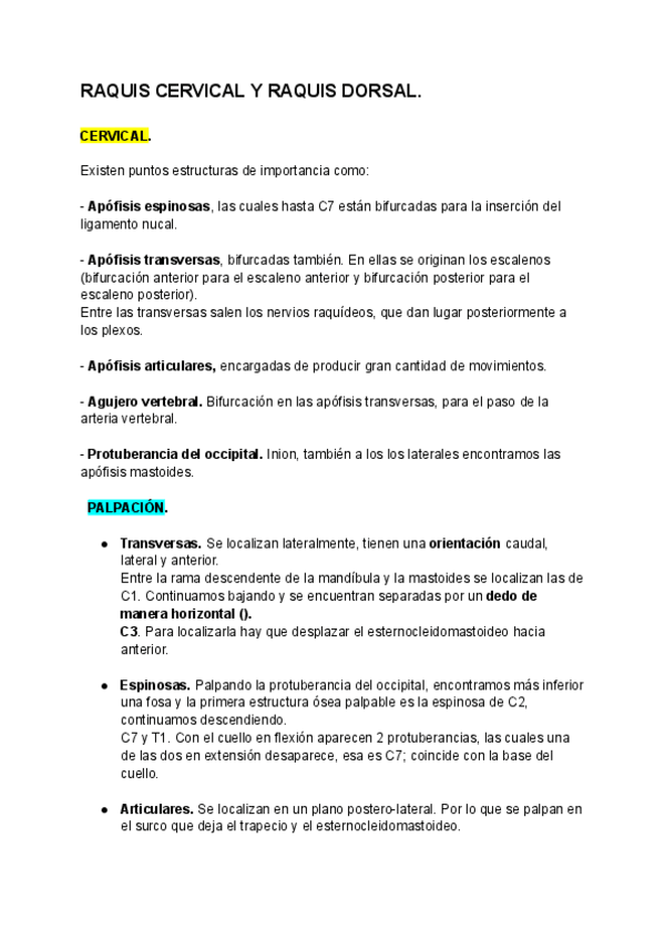 Miniatura del documento RAQUIS-CERVICAL-Y-RAQUIS-DORSAL.pdf