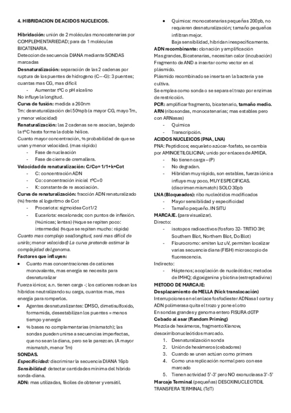 Miniatura del documento 4.-RESUMEN-Hibridacion-A.N..pdf
