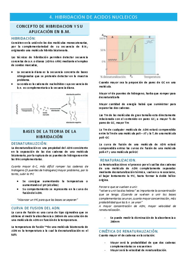 Miniatura del documento 4.-Hibridacion-de-Acidos-Nucleicos.pdf