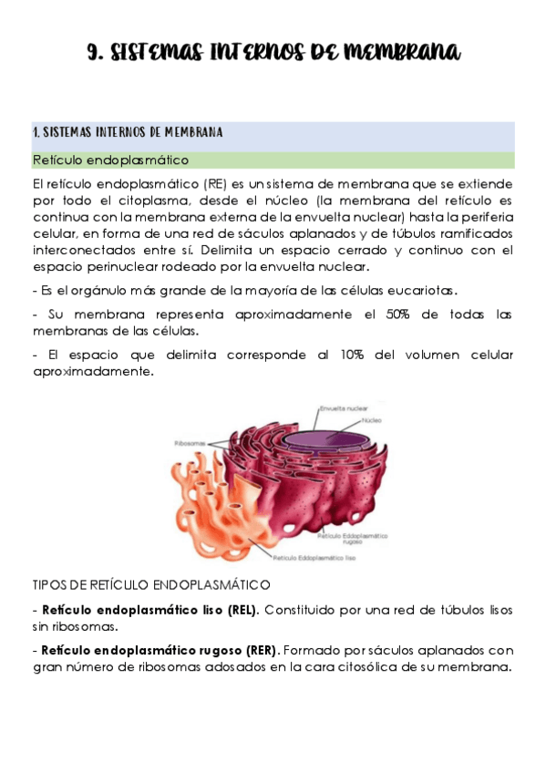 Miniatura del documento 9-Sistemas-internos-de-membrana.pdf
