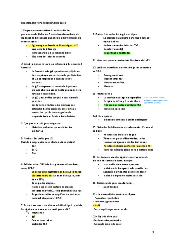 Miniatura del documento Examen 2018-2019.pdf