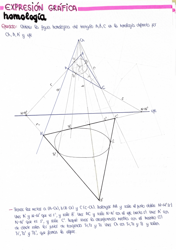 Miniatura del documento Apuntes-Homologia.pdf