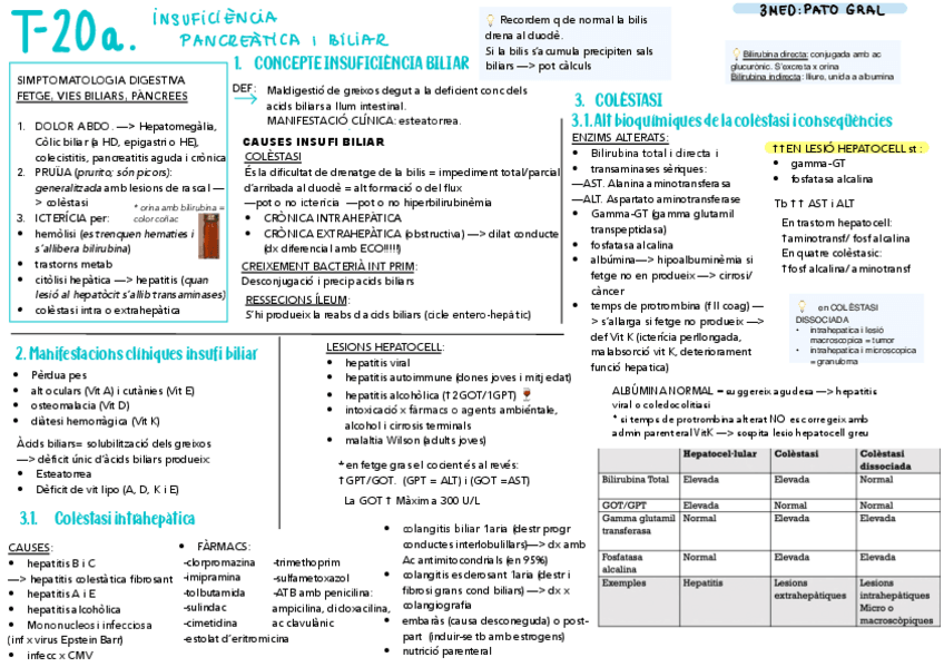 Miniatura del documento T-24.1-PG-Insufi-bilio-pancreatica.pdf