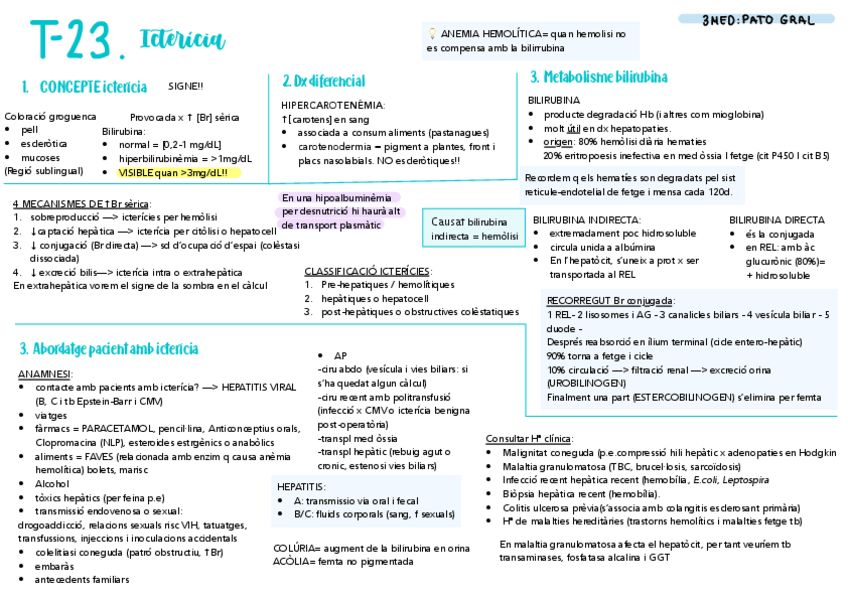 Miniatura del documento T-23-PG-ictericia.pdf
