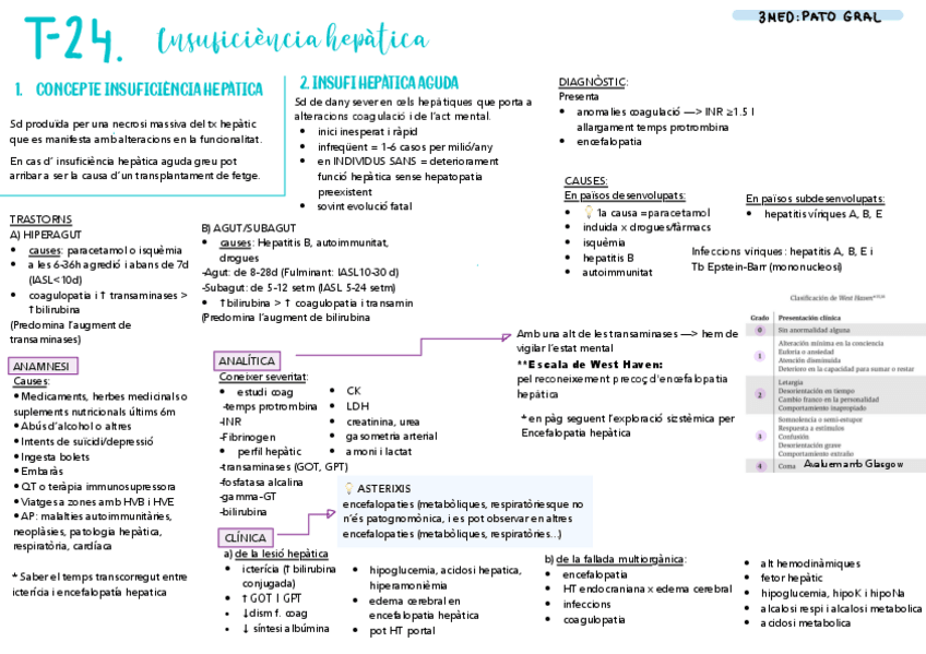 Miniatura del documento T-24-PG-Insufi-hepatica.pdf