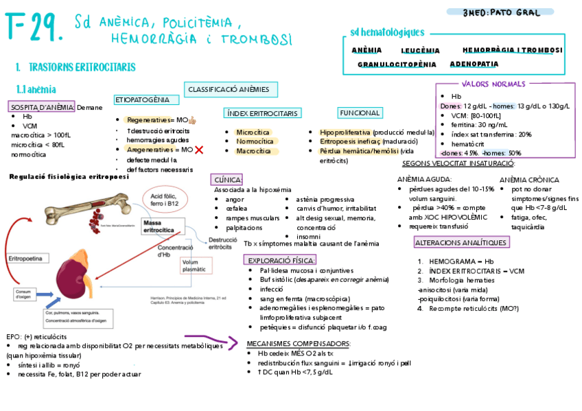 Miniatura del documento T-29-PG-Anemias.pdf