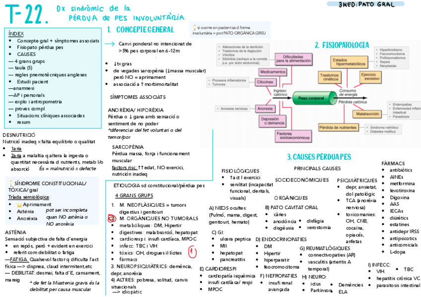 Miniatura del documento T-22-PG-Perdua-pes.pdf