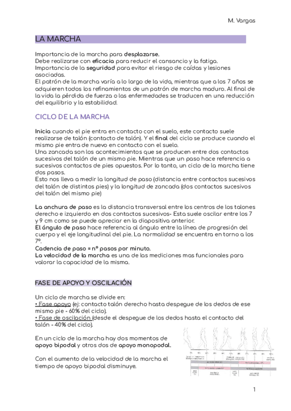 Miniatura del documento BIOMECANICA-La-Marcha..pdf