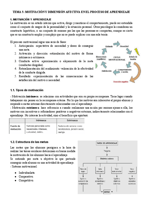 Miniatura del documento TEMA-5-Motivacion-y-dimension-afectiva-en-el-proceso-de-E-A.pdf