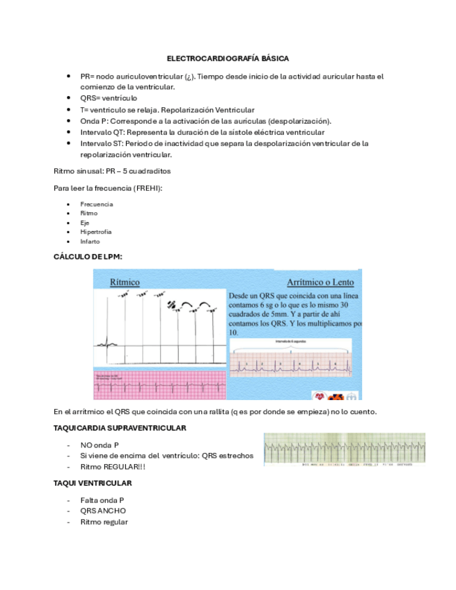 Miniatura del documento TALLER-ELECTROCARDIOGRAFIA.pdf