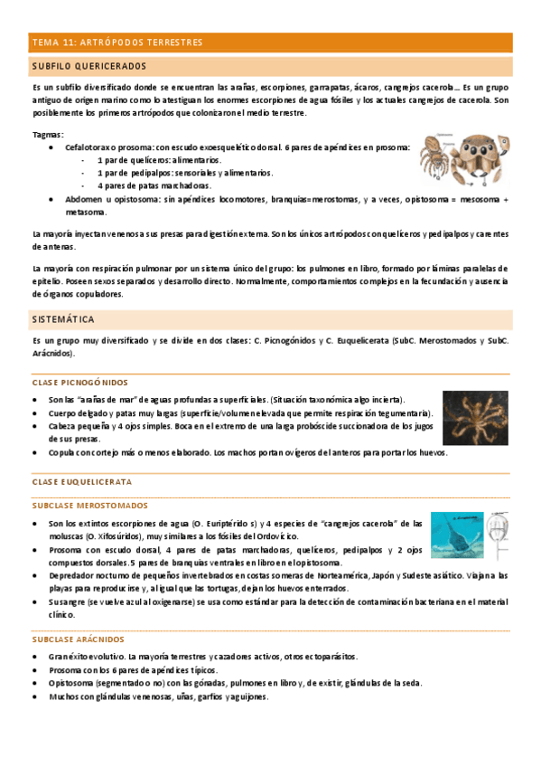 Miniatura del documento Tema-11.pdf