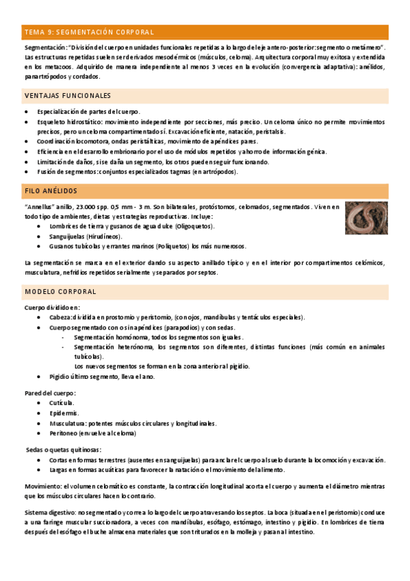 Miniatura del documento Tema-9.pdf