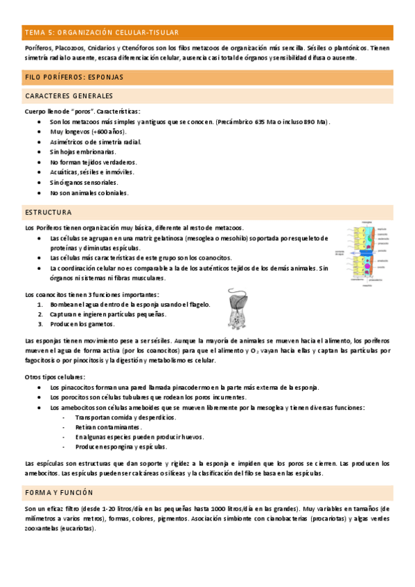 Miniatura del documento Tema-5.pdf