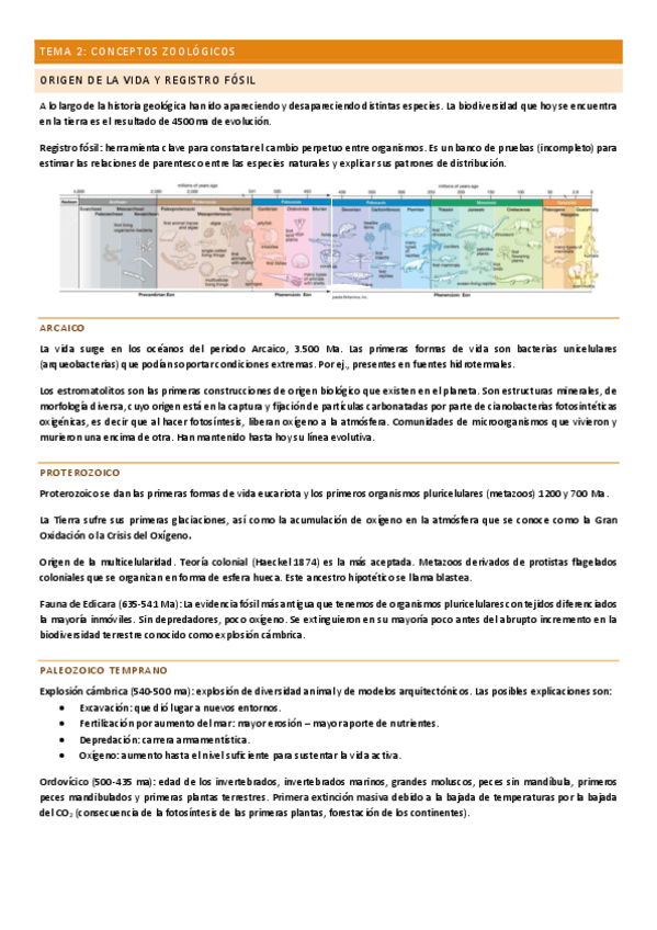 Miniatura del documento Tema-2.pdf