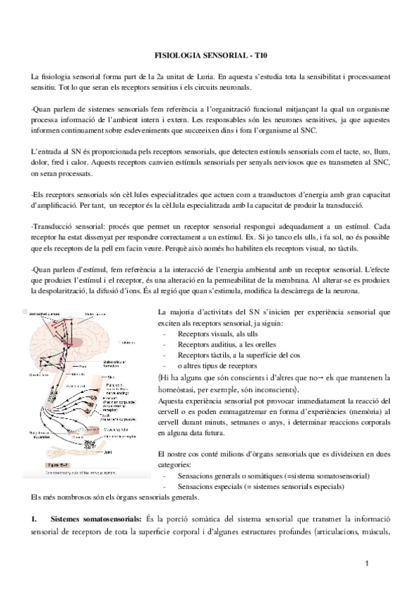 Miniatura del documento T10-PSICOFISIO.docx