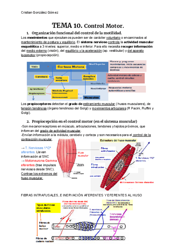 Miniatura del documento FISIOLOGIA-T10.pdf